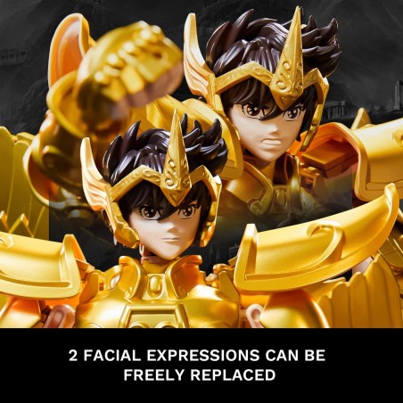 copy of Myth Cloth Ex Sagitarius Seiya - Inheritor of the Gold - Saint Seiya copy of Myth Cloth Ex Sagitarius Seiya - Inheritor of the Gold - Saint Seiya