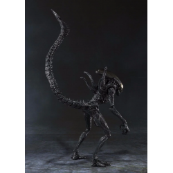 S.H.Figuarts Alien Warrior - Alien VS Predator