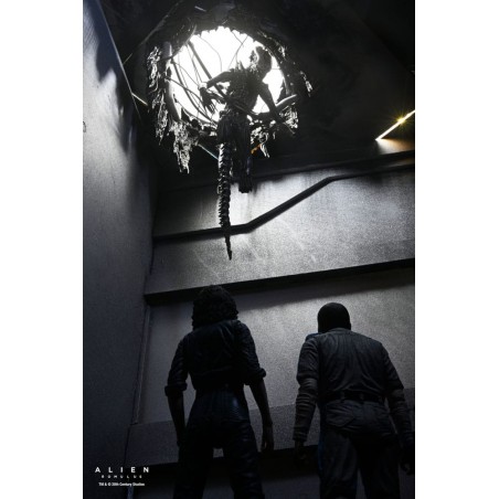 Figurine Deluxe Suspended Lab Xenomorph XX121 - Alien Romulus Figurine Deluxe Suspended Lab Xenomorph XX121 - Alien Romulus