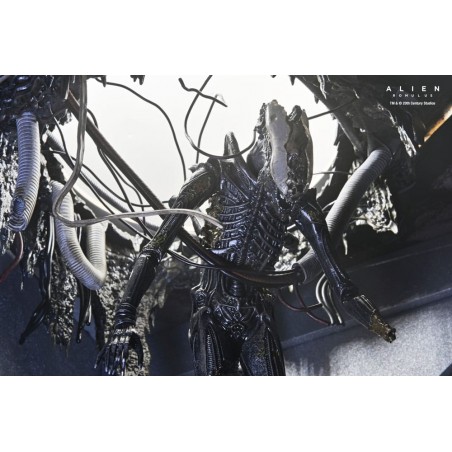 Figurine Deluxe Suspended Lab Xenomorph XX121 - Alien Romulus Figurine Deluxe Suspended Lab Xenomorph XX121 - Alien Romulus