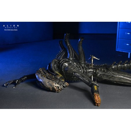Figurine Deluxe Suspended Lab Xenomorph XX121 - Alien Romulus Figurine Deluxe Suspended Lab Xenomorph XX121 - Alien Romulus