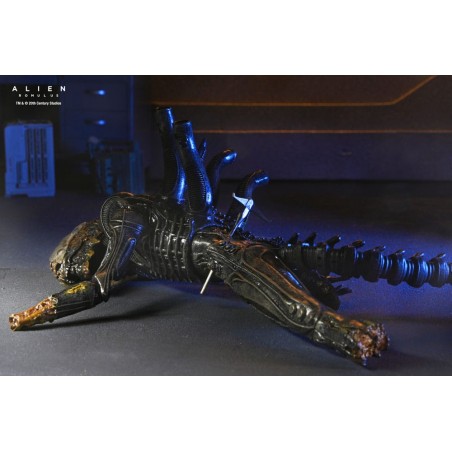 Figurine Deluxe Suspended Lab Xenomorph XX121 - Alien Romulus Figurine Deluxe Suspended Lab Xenomorph XX121 - Alien Romulus