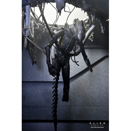 Figurine Deluxe Suspended Lab Xenomorph XX121 - Alien Romulus Figurine Deluxe Suspended Lab Xenomorph XX121 - Alien Romulus