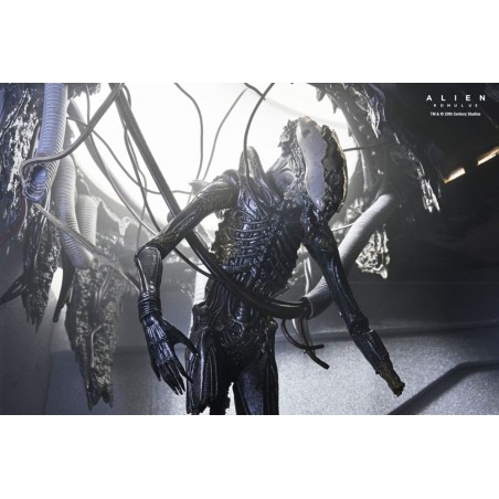 Figurine Deluxe Suspended Lab Xenomorph XX121 - Alien Romulus Figurine Deluxe Suspended Lab Xenomorph XX121 - Alien Romulus